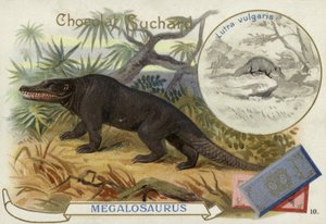 メガロサウルスとカワウソ 作： European School